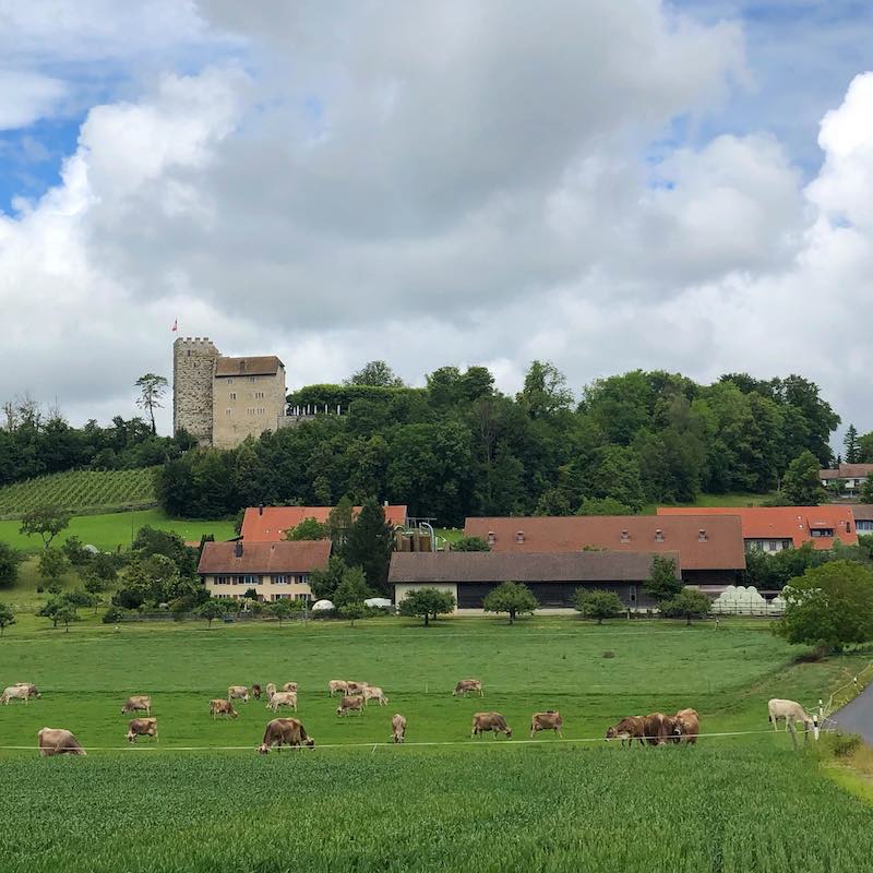 Habsburg Castle Farmland