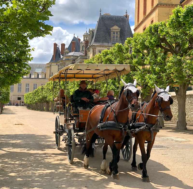 Horse and Buggy Fontainebleau