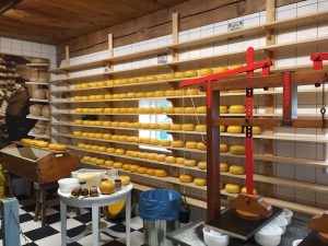 Cheese Making at Zaanse Schans