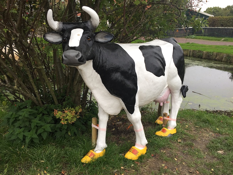 Cow with Clogs Marken The Netherlands